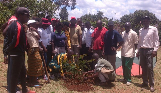 National-planting-day